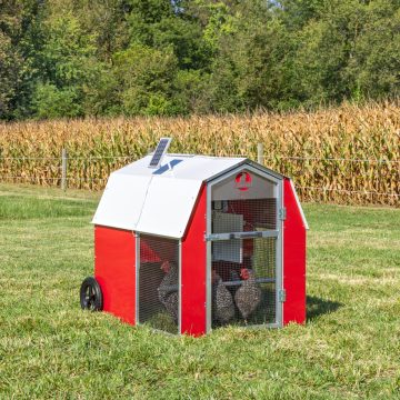 3 x 4 Redline Coop [Front]